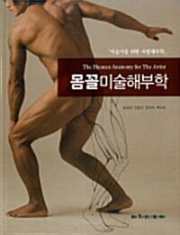 [중고] 몸꼴미술해부학