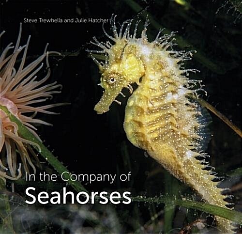 In the Company of Seahorses (Hardcover)