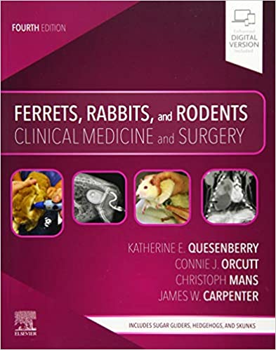 Ferrets, Rabbits, and Rodents: Clinical Medicine and Surgery (Paperback, 4)