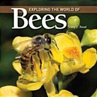 Exploring the World of Bees (Hardcover)