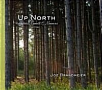 Up North: Reflections, Moments & Memories (Hardcover)