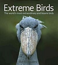 Extreme Birds: The Worlds Most Extraordinary and Bizarre Birds (Paperback)