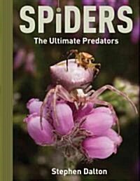 Spiders: The Ultimate Predators (Paperback)