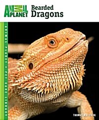 Bearded Dragons (Paperback)