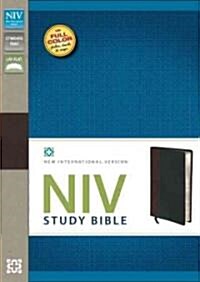 Study Bible-NIV (Imitation Leather)