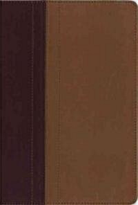 Quest Study Bible-NIV (Imitation Leather)