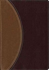 Study Bible-NIV-Compact (Imitation Leather)
