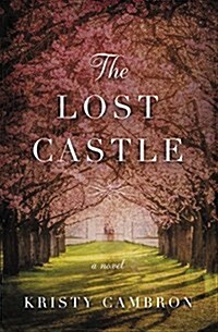 The Lost Castle: A Split-Time Romance (Paperback)