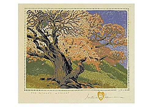 Gustave Baumann: The Bishops Apricot Small Boxed Cards (Other)