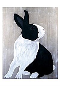 Thierry Bisch: Lapin Pie Boxed Small Notecards (Other)