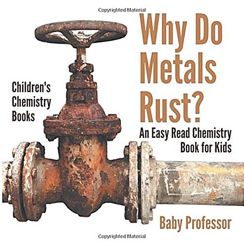 Why Do Metals Rust? An Easy Read Chemistry Book for Kids Childrens Chemistry Books (Paperback)