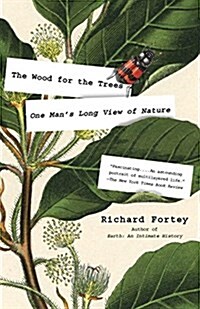 The Wood for the Trees: One Mans Long View of Nature (Paperback)