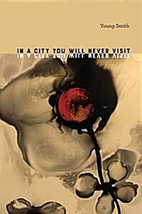 In a City You Will Never Visit (Paperback)