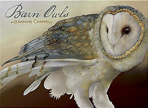 Barn Owls Boxed Notecards (Other)