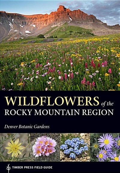 Wildflowers of the Rocky Mountain Region (Paperback)