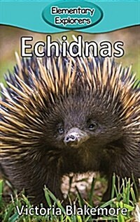 Echidnas (Hardcover)