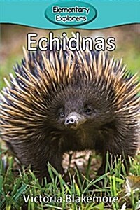 Echidnas (Paperback)