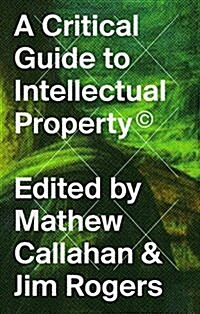 A Critical Guide to Intellectual Property (Paperback)