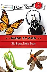 Big Bugs, Little Bugs: Level 2 (Paperback)