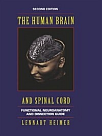 The Human Brain and Spinal Cord: Functional Neuroanatomy and Dissection Guide (Paperback, 2, 1995)