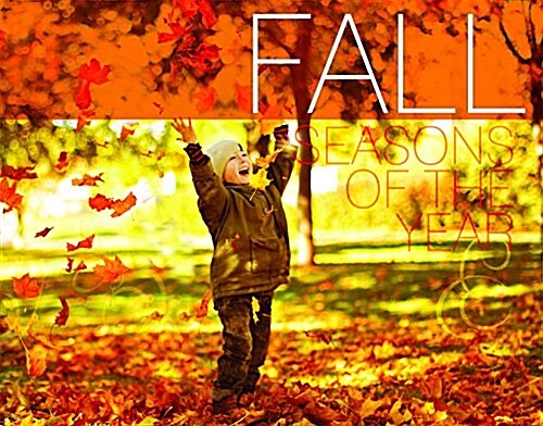 Fall (Paperback)