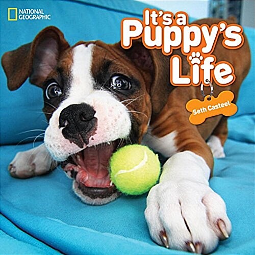 Its a Puppys Life (Hardcover)