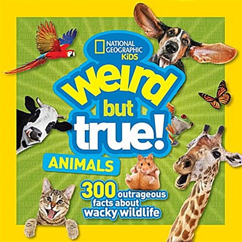 Weird but True Animals (Paperback)
