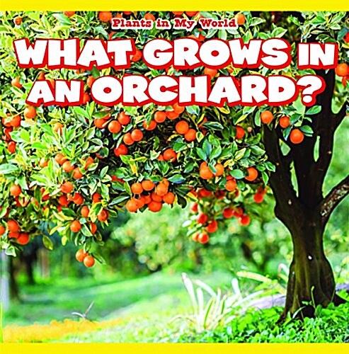 What Grows in an Orchard? (Paperback)
