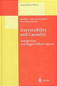 Irreversibility and Causality: Semigroups and Rigged Hilbert Spaces (Hardcover)