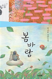 봄바람 :박상률 장편소설 