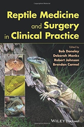 Reptile Medicine and Surgery in Clinical Practice (Hardcover)