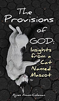 The Provisions of God: Insights from a Cat Named (Hardcover)