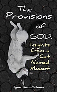 The Provisions of God: Insights from a Cat Named (Paperback)