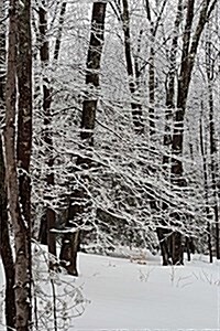 Journal Winter Picture Snowy Trees: (Notebook, Diary, Blank Book) (Paperback)