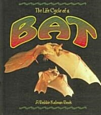 The Life Cycle of a Bat (Hardcover)