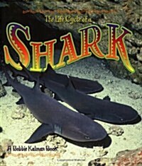 The Life Cycle of a Shark (Paperback)