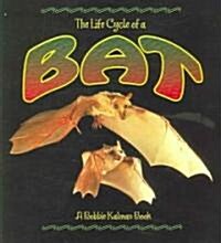 Bat (Paperback)