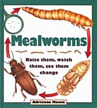 Mealworms: Raise Them, Watch Them, See Them Change (Paperback)