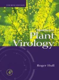 Matthews' plant virology