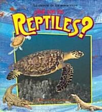 풯u?Son Los Reptiles? (What Is a Reptile?) (Paperback)