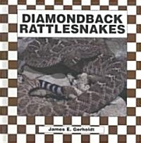 Diamondback Rattlesnakes (Library)