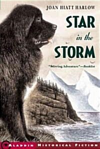 Star in the Storm (Paperback, Reprint)