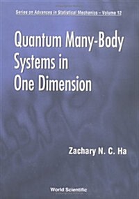 Quantum Many-Body Systems in One Dimensi (Hardcover, UK)