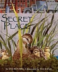 Secret Place (School & Library)