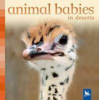 Animal babies : in deserts 