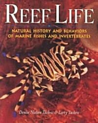 Reef Life (Paperback)