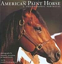 The American Paint Horse (Hardcover)