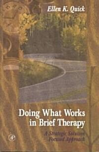 Doing What Works in Brief Therapy (Paperback)