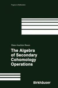 The algebra of secondary cohomology operations