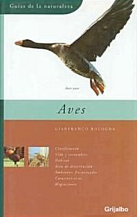 Aves / Birds (Hardcover, Translation)